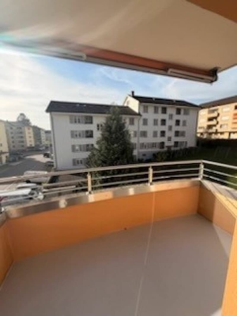 Partly renovated 3.5-room apartment (4)