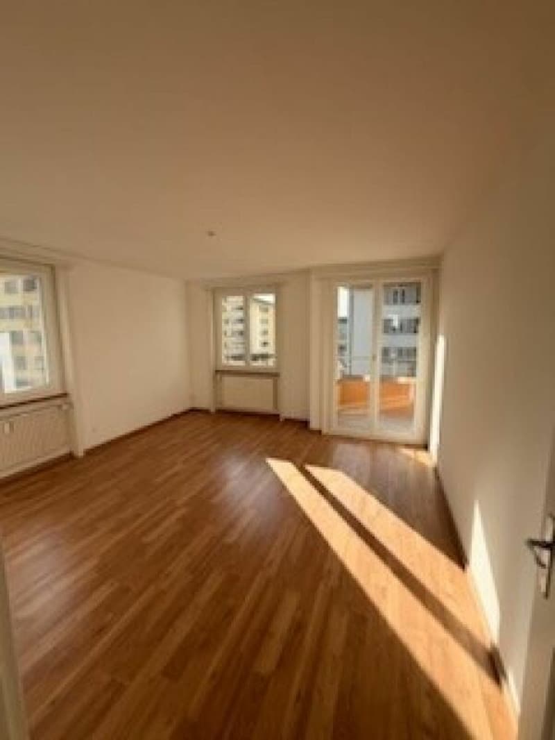 Partly renovated 3.5-room apartment (3)
