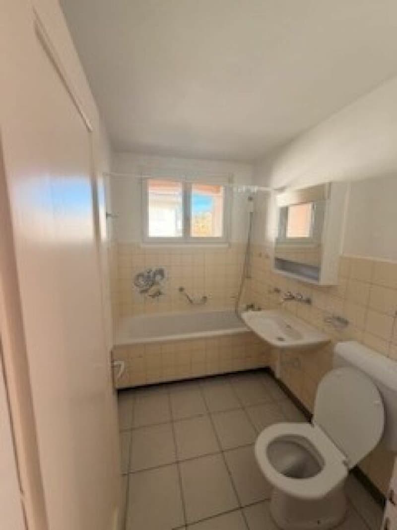 Partly renovated 3.5-room apartment (6)