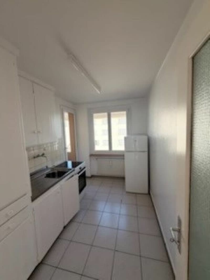 Partly renovated 3.5-room apartment (2)