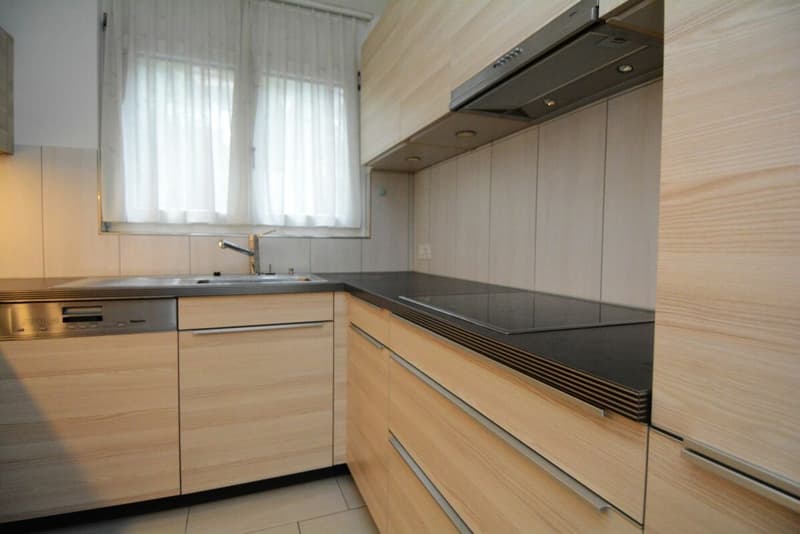 5.5-Zimmer Reiheneinfamilienhaus mit Gartenumschwung (6)