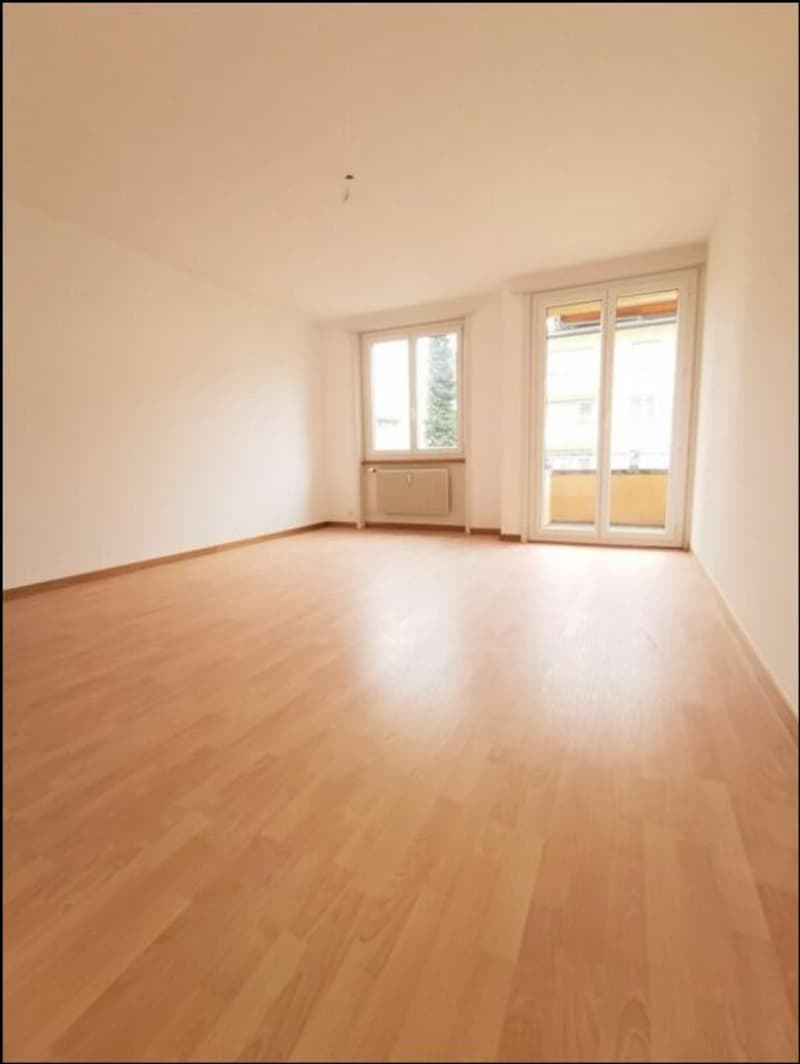 Appartamento 3½ locali in affitto (2)