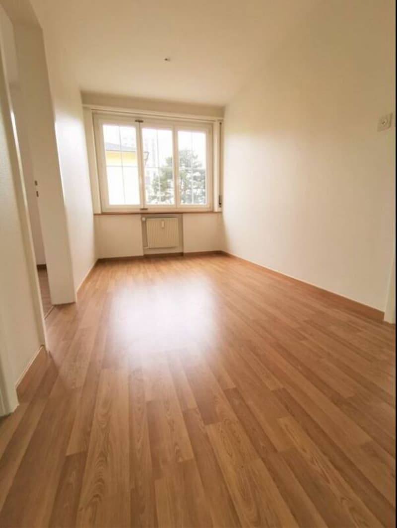 Appartamento 3½ locali in affitto (3)
