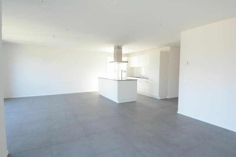 4.5 room new apartments in the residential oasis Beunde (5)