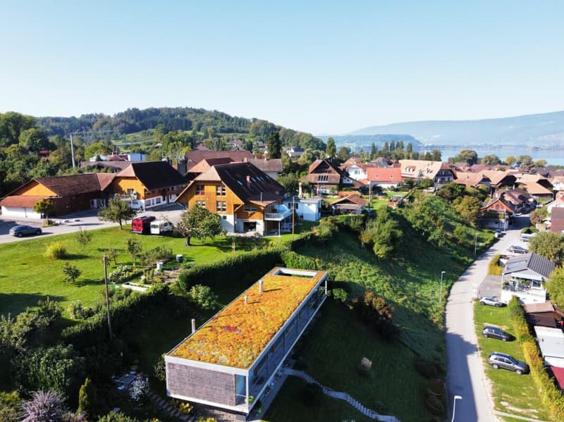 Terreno con vista diretta sul lago e potenziale di costruzione (10)