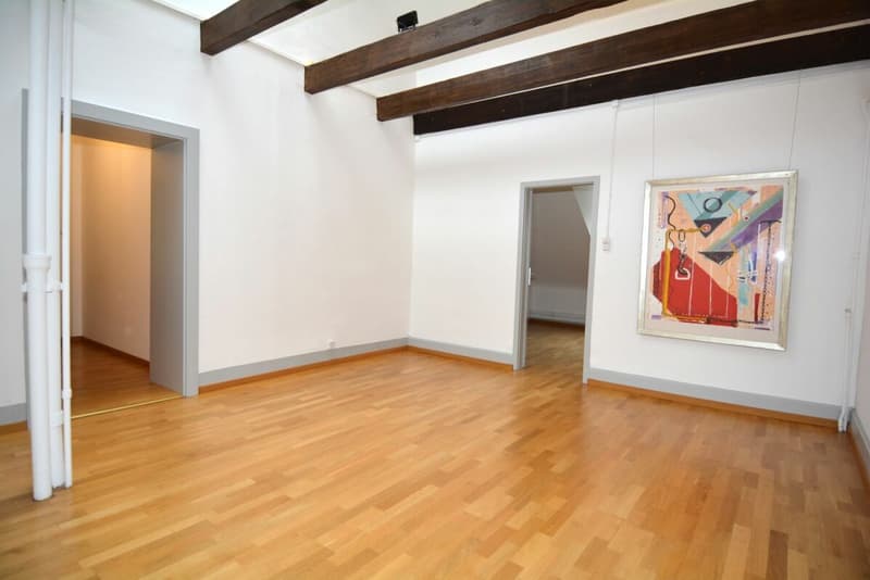 Vivere con charme nel centro di Solothurn (1)