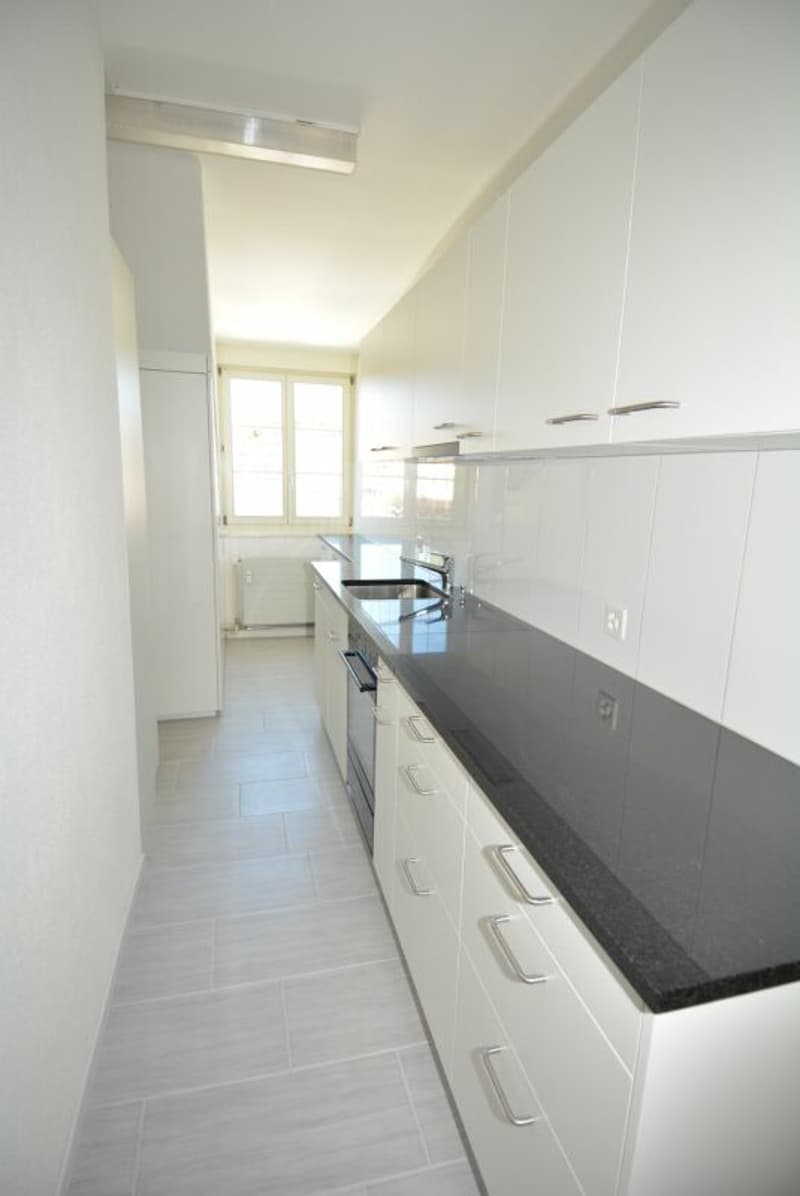 Vivere con charme nel centro di Solothurn (3)