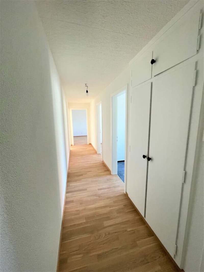 Appartamento di 2 camere accogliente in affitto (3)