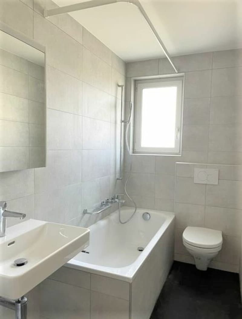 Appartamento di 2 camere accogliente in affitto (4)