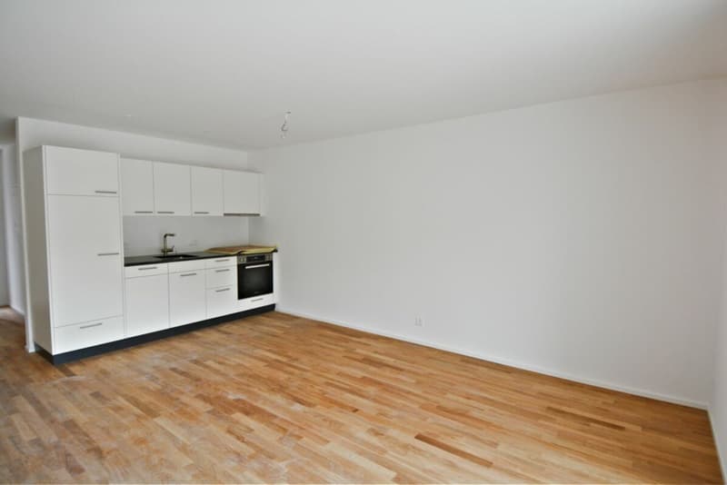 Moderne 2.0-Zimmerwohnung an ruhiger Lage - per sofort verfügbar (1)