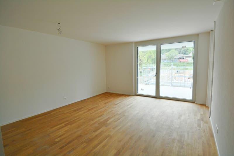 Moderne 2.0-Zimmerwohnung an ruhiger Lage - per sofort verfügbar (3)
