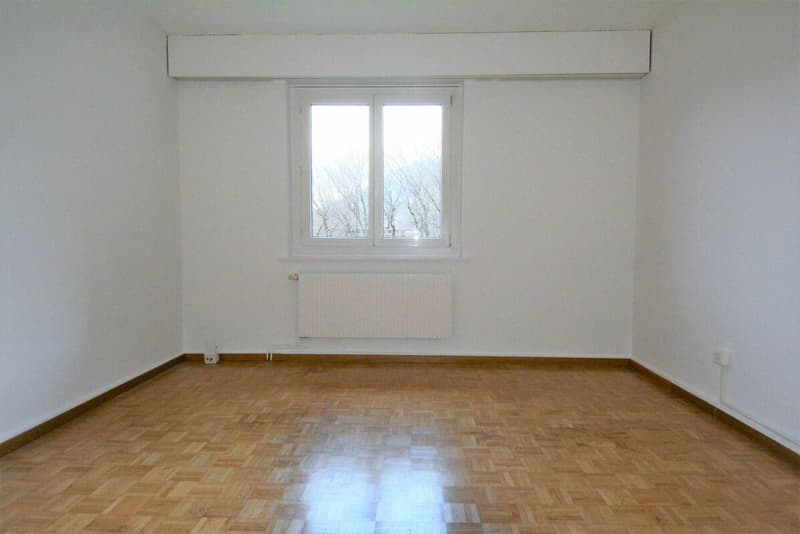 3-Zimmerwohnung zu vermieten! (6)