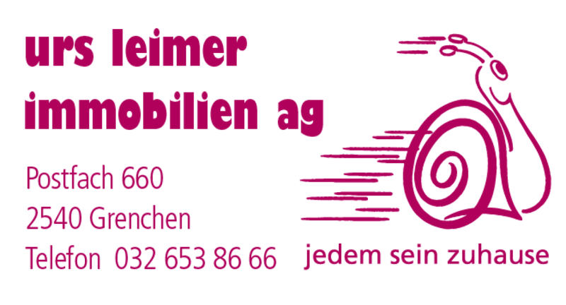Ruhige 5.5-Zimmer-Wohnung mit Garten und Sauna (13)