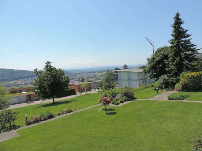 Terreno di sviluppo attraente (11)
