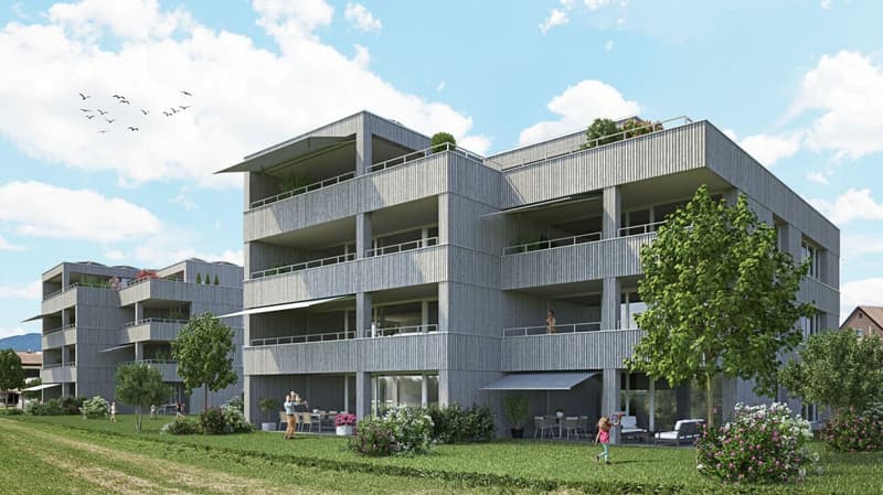 Investissement de valeur à Däniken (SO) (2)