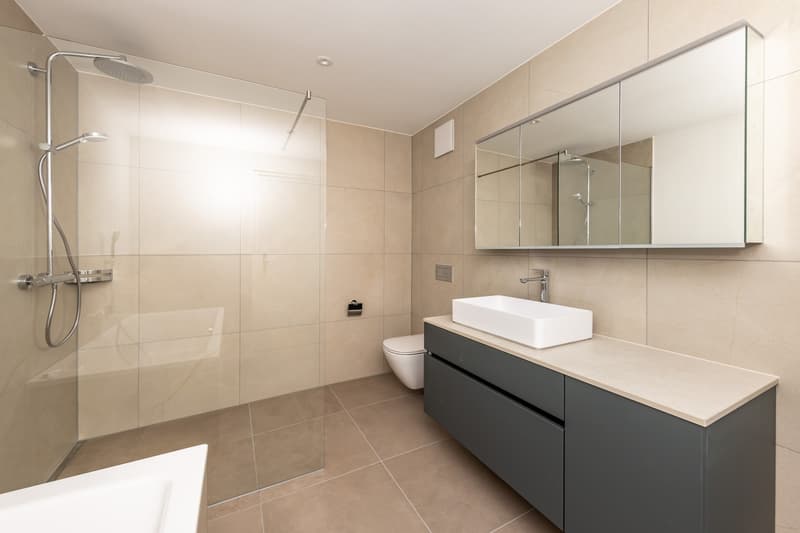 3.5 room new apartment in Gwatt (10)