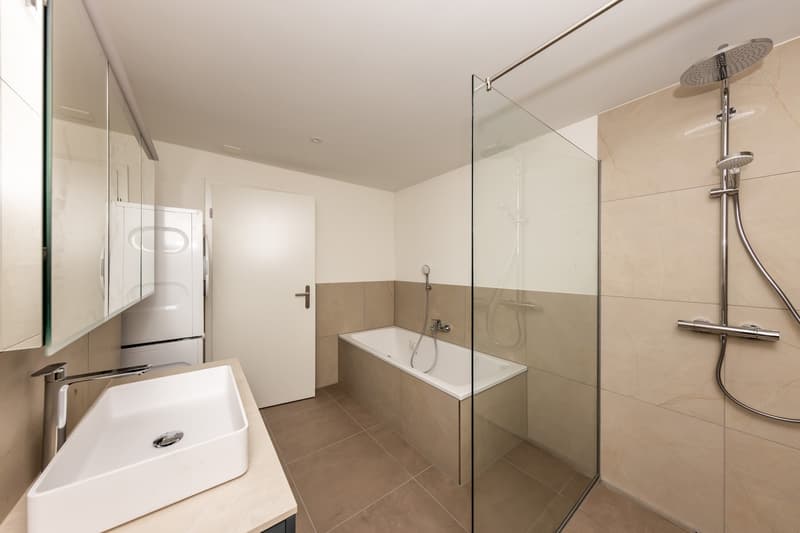 3.5 room new apartment in Gwatt (11)