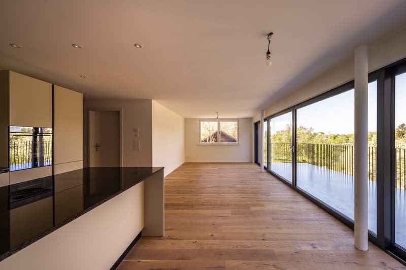 3.5 room new apartment in Gwatt (3)