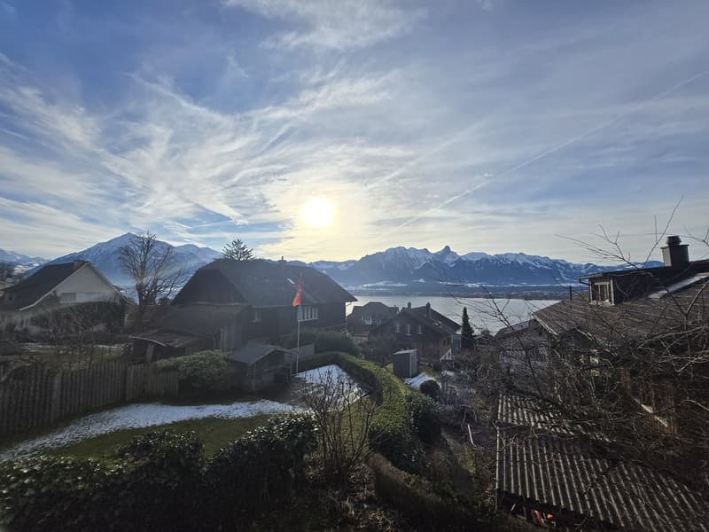 Maison jumelée de 5,5 pièces à Hilterfingen (2)
