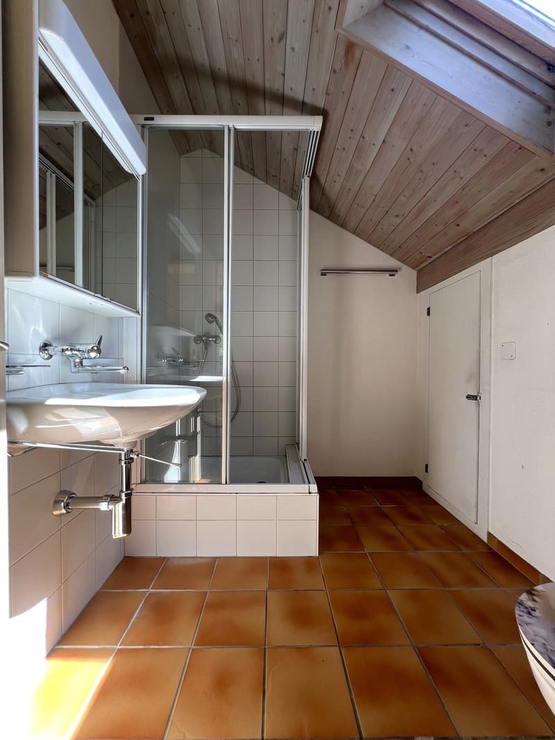 Maison jumelée de 5,5 pièces à Hilterfingen (13)