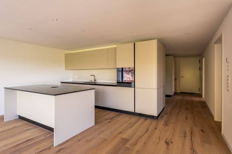 3.5 Zimmer-Neubau-Wohnungen im Gwatt (4)