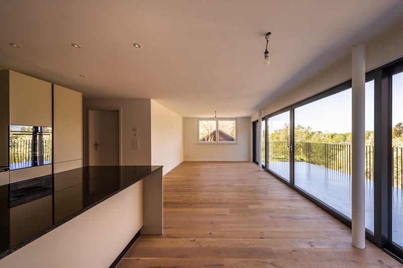 3.5 Zimmer-Neubau-Wohnungen im Gwatt (3)