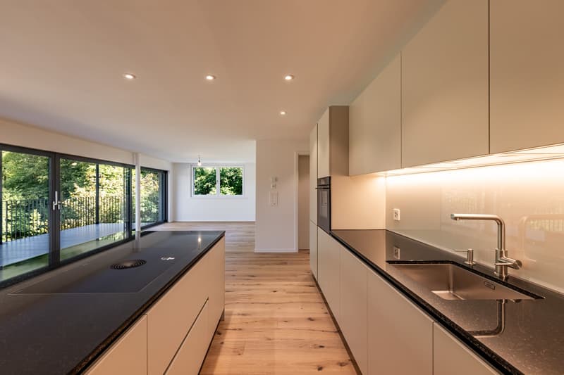 3.5 Zimmer-Neubau-Wohnung im Gwatt (3)