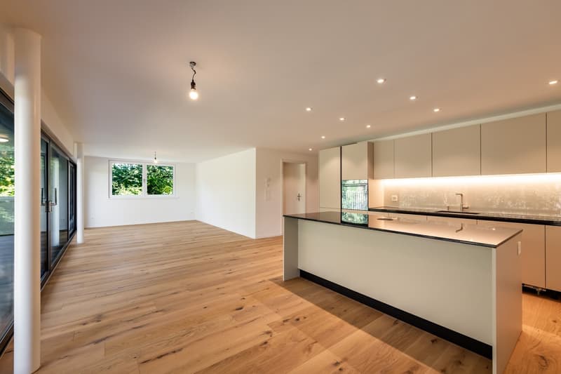 3.5 Zimmer-Neubau-Wohnung im Gwatt (2)