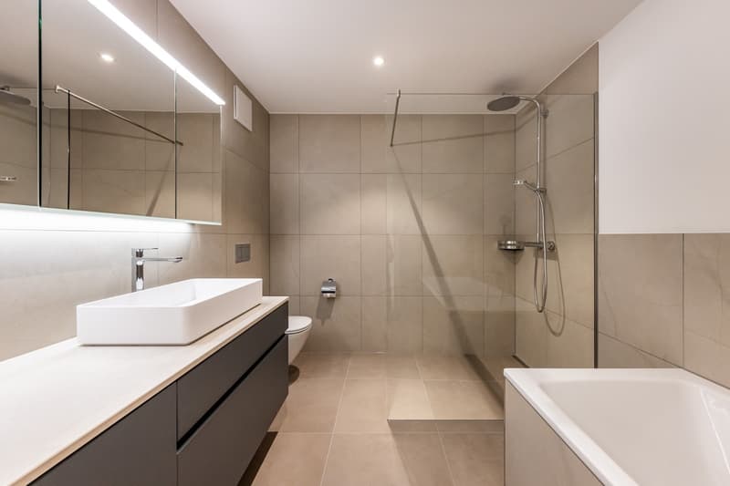 2.5 und 3.5 Zimmer-Ferien-Wohnung am Thunersee (10)