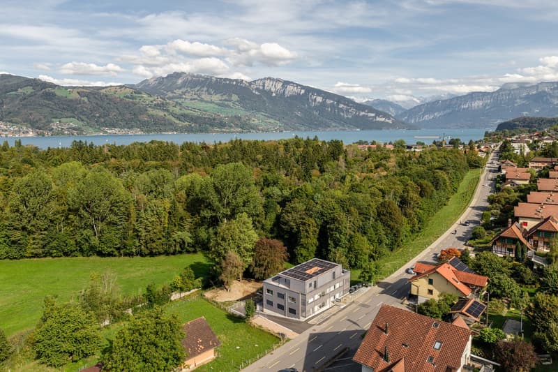 2.5 und 3.5 Zimmer-Ferien-Wohnung am Thunersee (1)