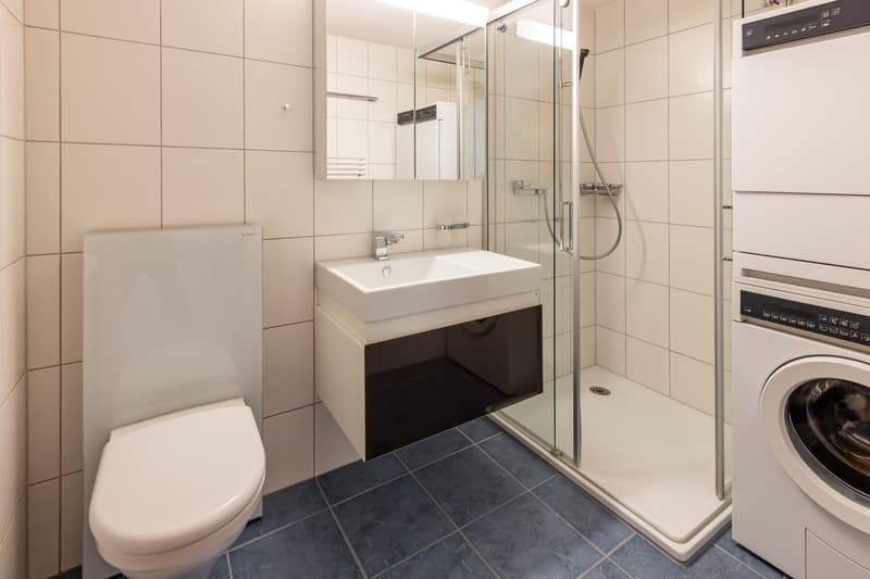 3.5 Zimmer-Dachwohnung mit Galerie in Steffisburg (Thun) (11)
