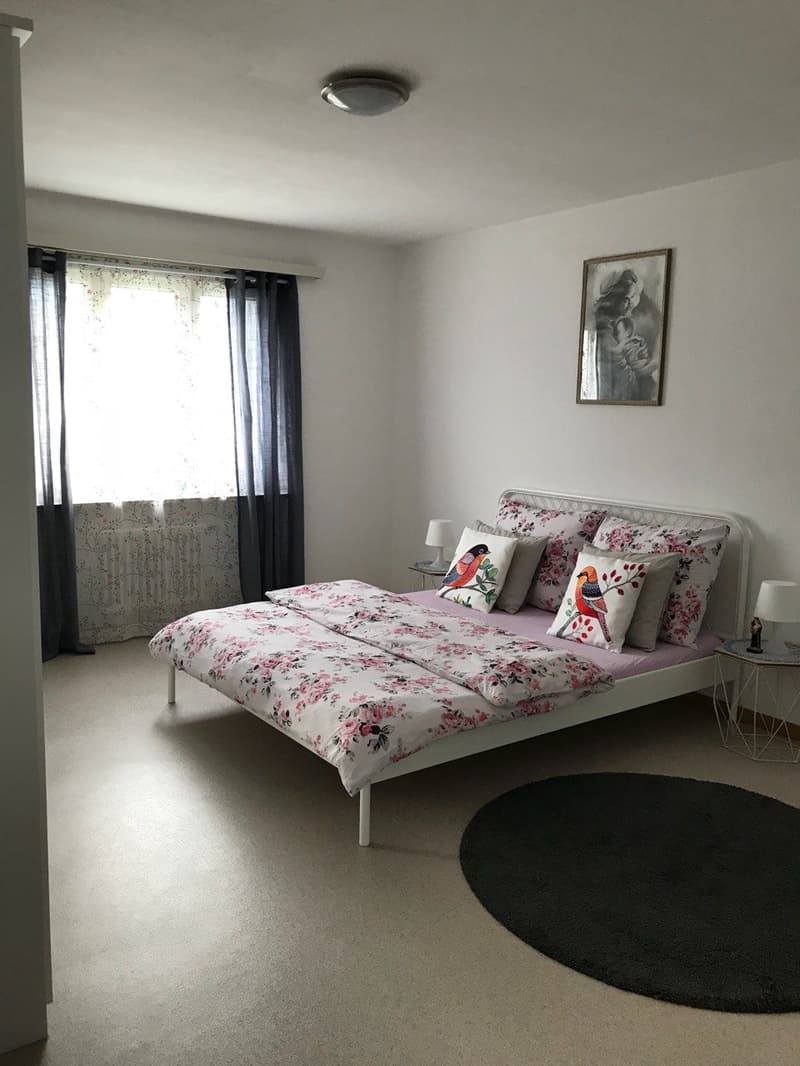 Helle 3.5-Zimmerwohnung an ruhiger Lage in Frick zu vermieten (6)