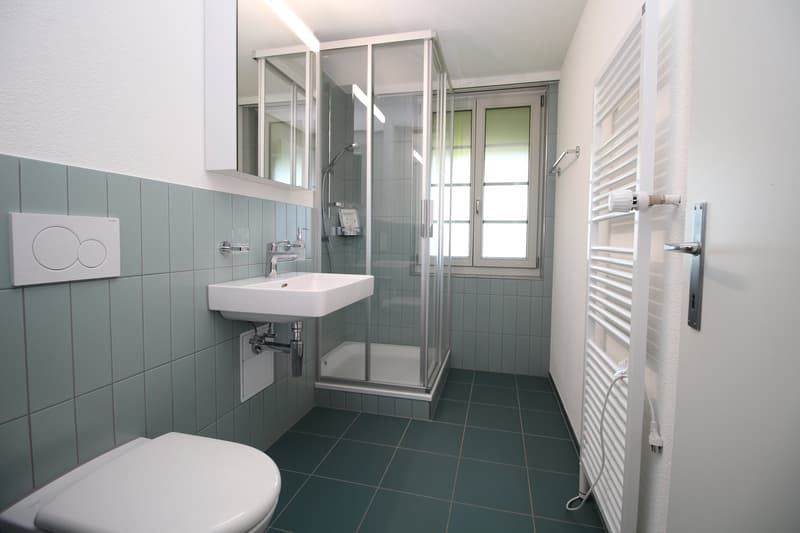 Frisch renovierte 2.5-Zimmerwohnung im 1. Obergeschoss (2)
