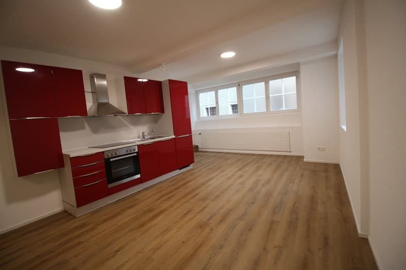 Charmante 1-Zimmerwohnung mitten in der Brugger Altstadt (1)