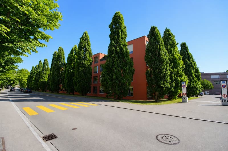 Traumhafte Attikawohnung mit riesiger Sonnenterrasse (8)