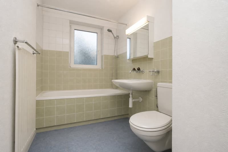 Grosszügiges Wohnen in ruhiger Lage (6)