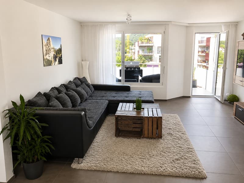Wunderschöne 3.5-Zimmerwohnung mit schöner Aussicht (2)