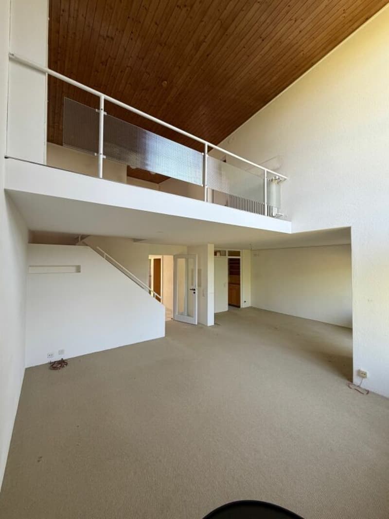 5.5-Room Semi-Detached House in Bottmingen (6)