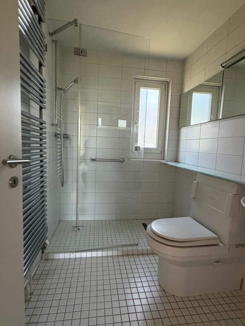 5.5-Room Semi-Detached House in Bottmingen (12)