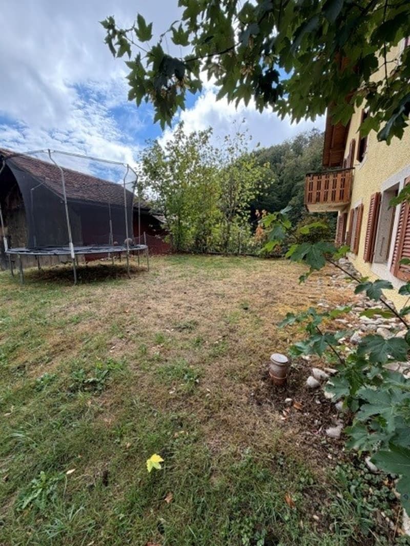 Gartenanteil.jpg