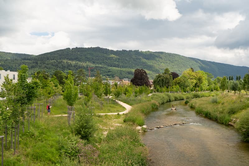 Schuessinsel_Veloweg.jpg