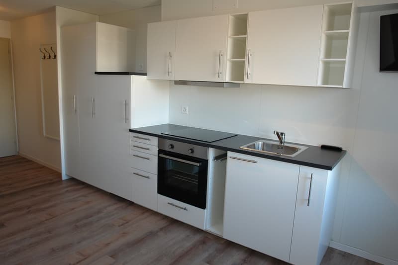 Furnished studio in Birr for rent! (4)