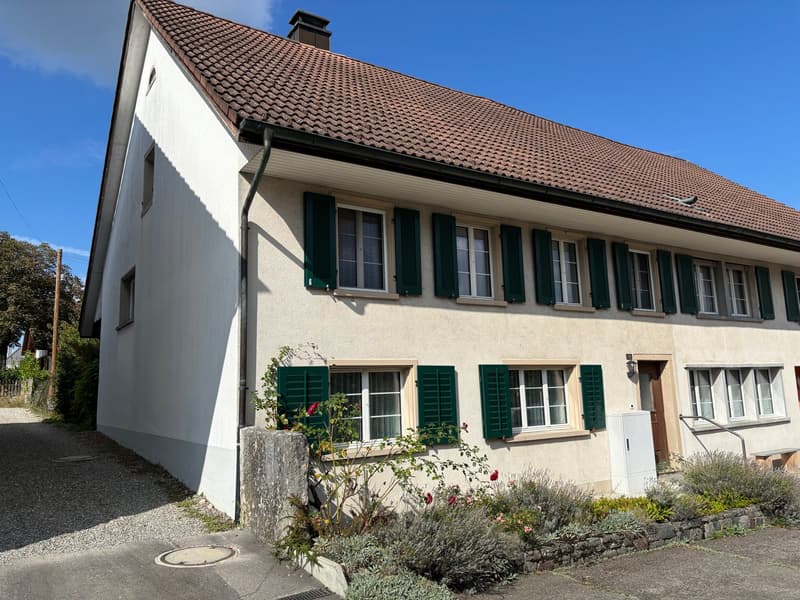 Doppeleinfamilienhaus in ruhiger Lage von Birr (1)