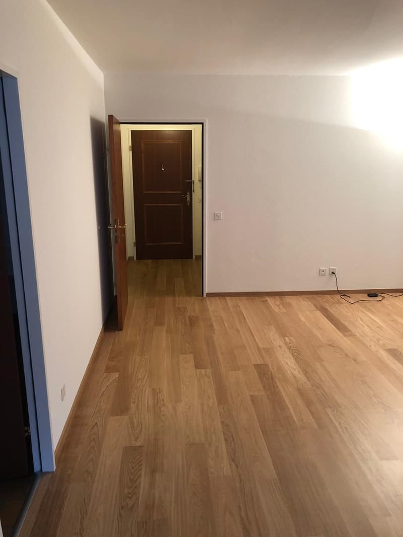 Bello appartamento 1.5 locali vicino a Picassoplatz (11)
