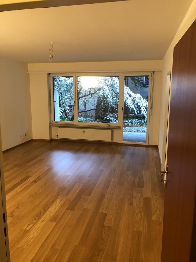 Bello appartamento 1.5 locali vicino a Picassoplatz (2)