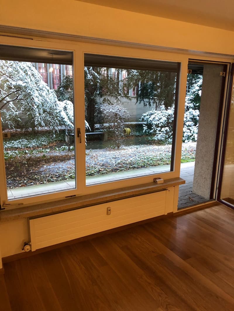 Bello appartamento 1.5 locali vicino a Picassoplatz (8)