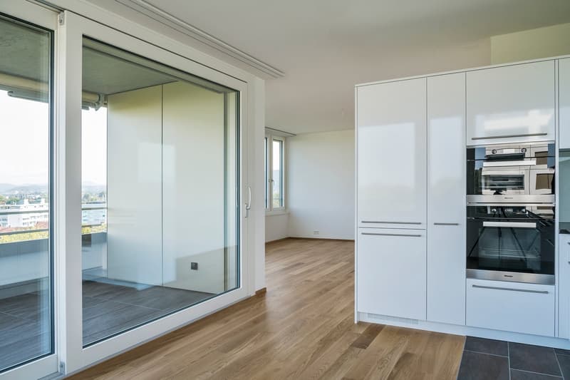 Luxurious 3.5-room apartment in Gellert (5)
