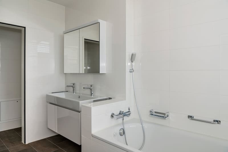 Luxurious 3.5-room apartment in Gellert (8)