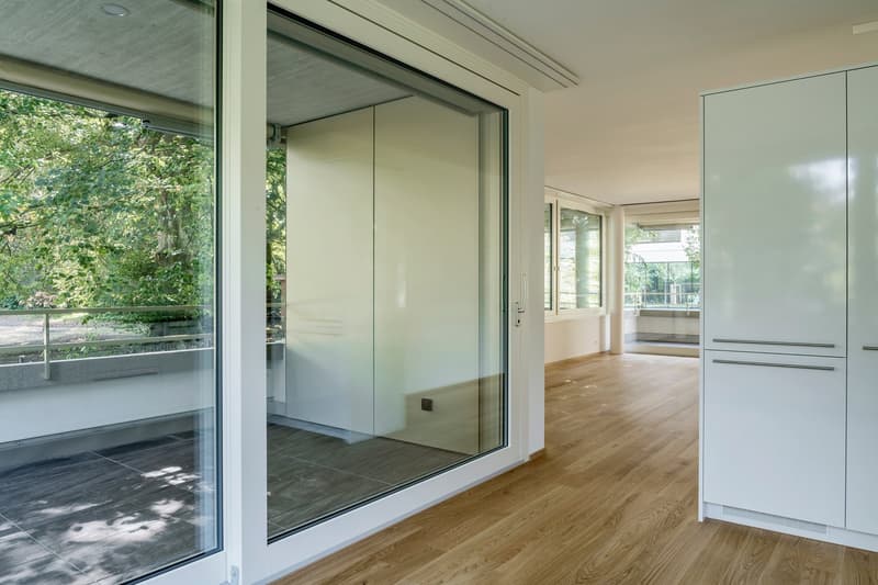 Luxurious 3.5-room apartment in Gellert (3)