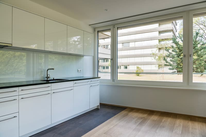 Luxurious 3.5-room apartment in Gellert (2)